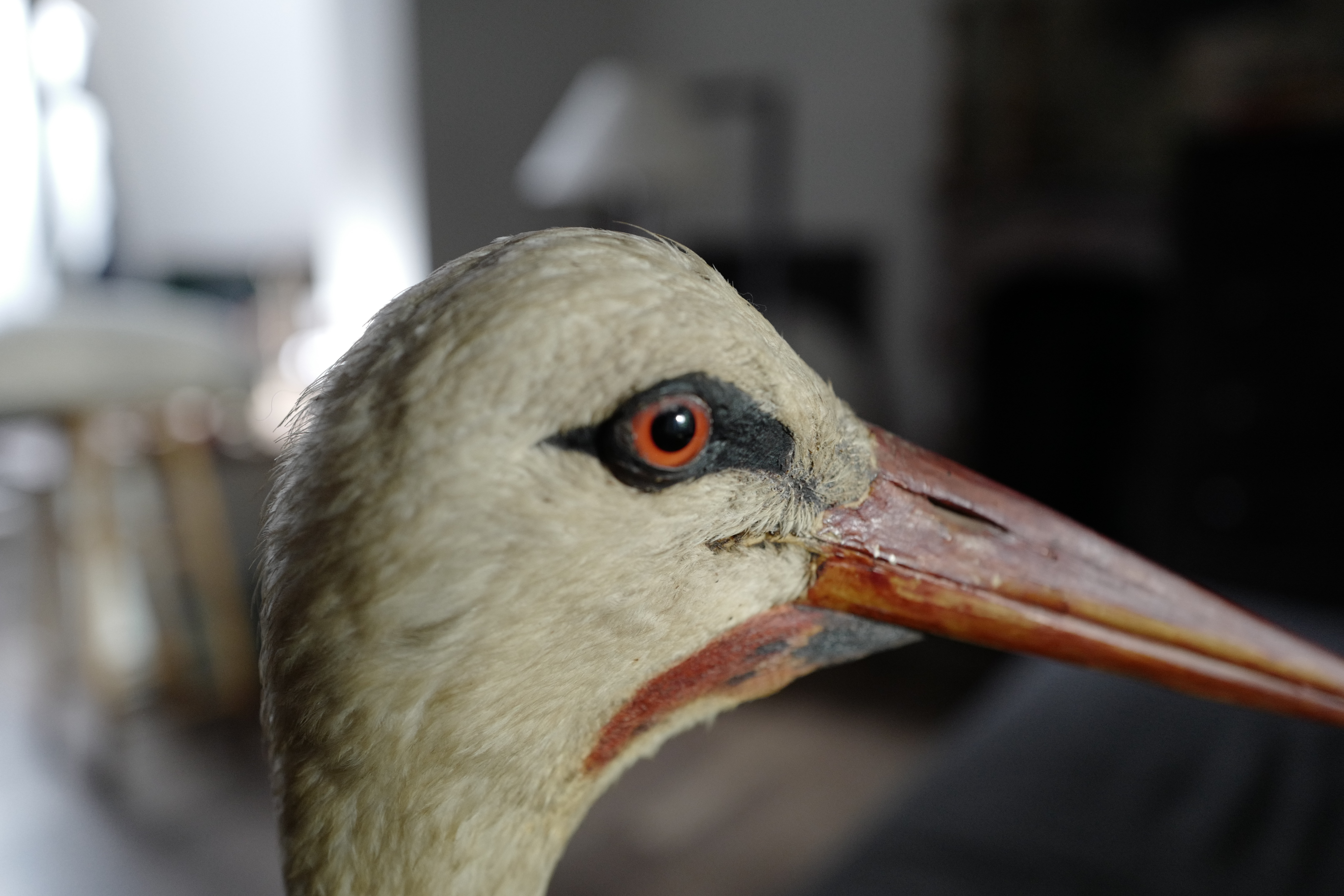 MAKING CM STORK